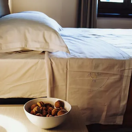 Pensjonat La Civetta Bianca *