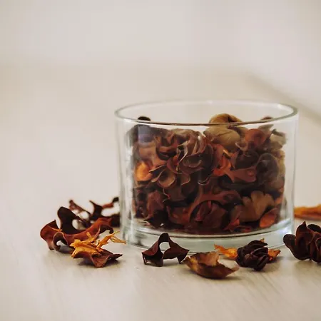 Pensjonat La Civetta Bianca San Pietro d'Olba