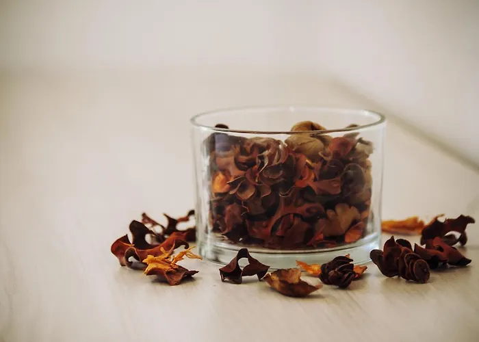 Casa de hóspedes La Civetta Bianca San Pietro d'Olba